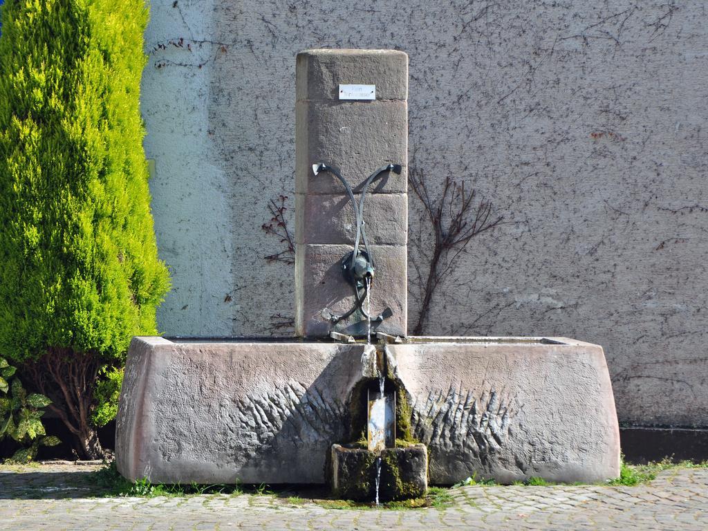 Hofgarten Rosa Ilbesheim bei Landau in der Pfalz Extérieur photo