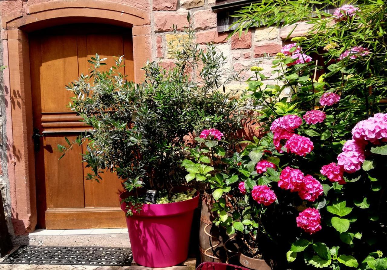 Hofgarten Rosa Ilbesheim bei Landau in der Pfalz Extérieur photo